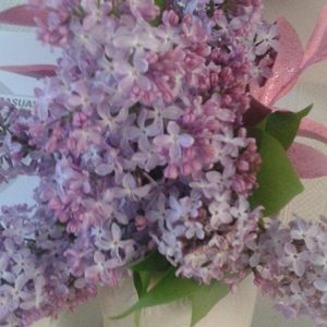 Meet your Posher, Debra